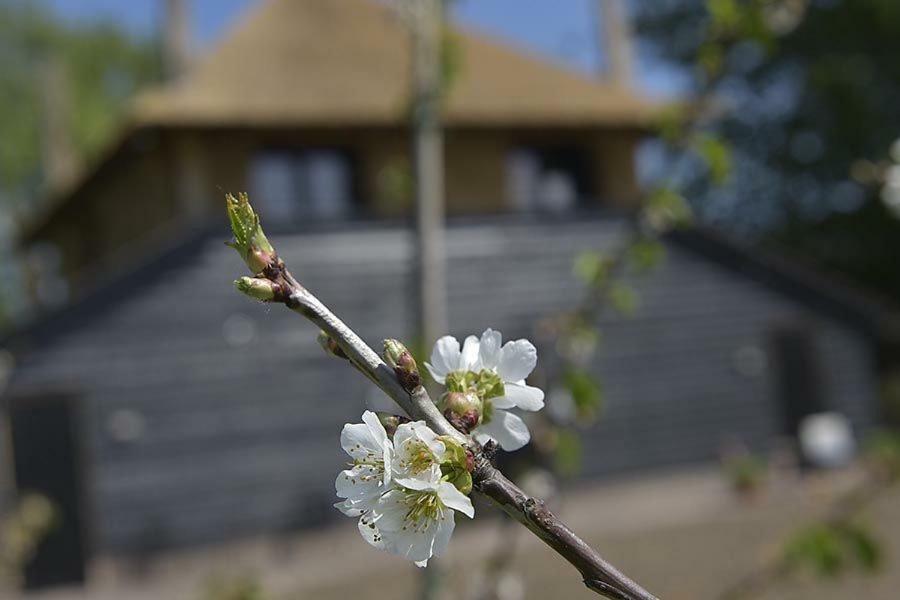 De Steltenberg In De Betuwe Zoelen Exteriér fotografie