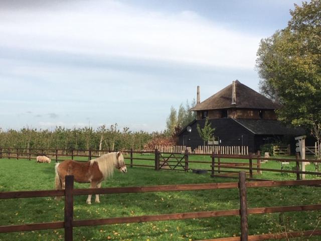 De Steltenberg In De Betuwe Zoelen Exteriér fotografie